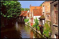 Canal lined with houses and trees. Bruges, Belgium (color)