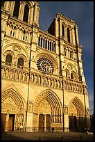 Notre Dame Cathedral, late afternoon. Paris, France ( color)