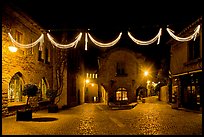 Place a Pierre Pont with Christmas decorations at night. Carcassonne, France ( color)
