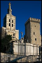 Romanesque Cathedral of Notre-Dame-des-Doms. Avignon, Provence, France ( color)