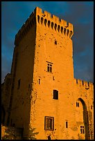 Medieval tower. Avignon, Provence, France ( color)
