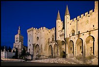 Palace of the Popes and Cathedral at night. Avignon, Provence, France