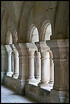 Detail of columns, the cloister, Fontenay Abbey. Burgundy, France
