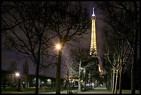 Trees in Champs de Mars and Eiffel Tower at night. Paris, France ( color)