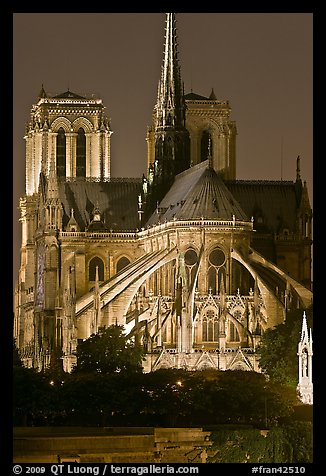 Chevet (head) and buttresses of Notre-Dame by night. Paris, France