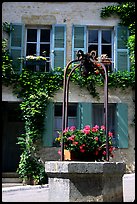 Flowers on a well, old  Vezelay. Burgundy, France (color)
