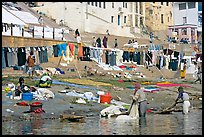 Laundry washed and hanged on Ganges riverbank. Varanasi, Uttar Pradesh, India ( color)