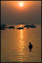 Man fishing from rowboat and anchored yachts, sunrise. Mumbai, Maharashtra, India ( color)