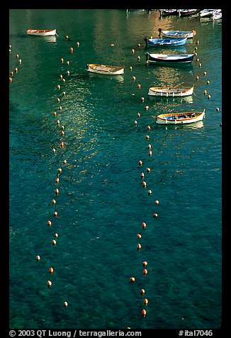 Buoy lines and fishing boats seen from above, Vernazza. Cinque Terre, Liguria, Italy