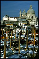 Water taxis and Santa Maria della Salute church, early morning. Venice, Veneto, Italy