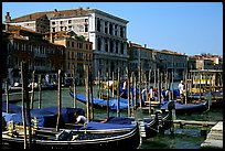 Parked gondolas on the the Grand Canal. Venice, Veneto, Italy