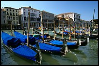 Row of gondolas covered with blue tarps, the Grand Canal. Venice, Veneto, Italy