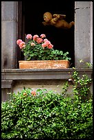 Window with flowers. Orvieto, Umbria ( color)