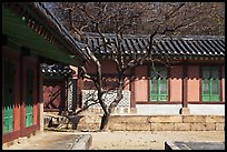 Jeongsa-cheong, Jongmyo royal ancestral shrine. Seoul, South Korea (color)