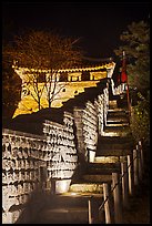 Steep section of wall at night, Namchi, Suwon Hwaseong Fortress. South Korea ( color)
