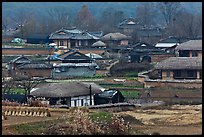 Straw roofed houses and tile roofed houses. Hahoe Folk Village, South Korea ( color)