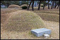 Burial mounds. Hahoe Folk Village, South Korea (color)
