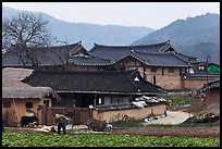 Villager tending to fields in front of ancient houses. Hahoe Folk Village, South Korea ( color)