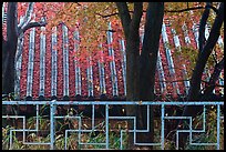 Fence with Buddhist symbol, and roof with fallen leaves, Bulguksa. Gyeongju, South Korea (color)