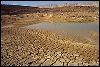 Cracked mud and shallow pond, near Mitzpe Ramon. Negev Desert, Israel