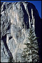 The first part of the route (common with the Triple direct) is reminiscent of the Nose : free climbing and clean aid. The harder aid begins on the traverse just below the Shield, which is the convex part left of the Nose. El Capitan, Yosemite, California