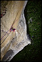 Belaying the following pitch, a thin crack in the middle of nowhere. El Capitan, Yosemite, California ( color)