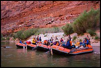 Beached rafts, Marble Canyon. Grand Canyon National Park, Arizona