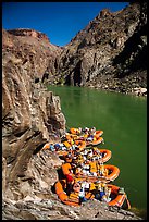 Rafts moored near month of Clear Creek canyon. Grand Canyon National Park, Arizona