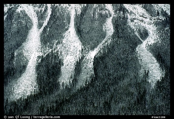 Avalanche gullies. Canada (color)