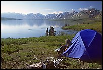 Camp above Twin Lakes. Lake Clark National Park, Alaska