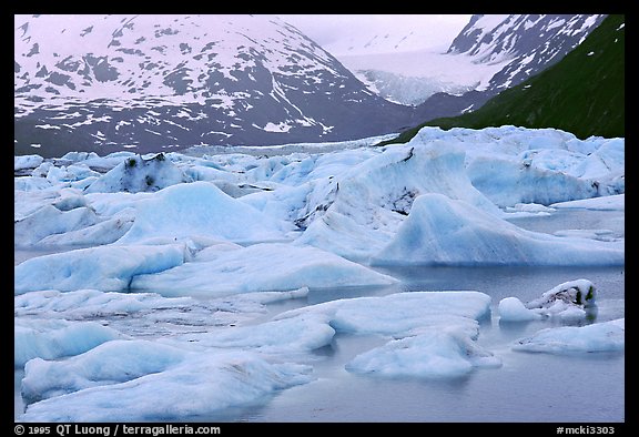 Icebergs in Portage Lake. Alaska