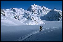 Mountaineers at the base of Mt McKinley. Denali National Park, Alaska, USA. (color)