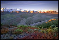 Tundra, braided rivers, Alaska Range at sunrise from Polychrome Pass. Denali National Park, Alaska, USA.