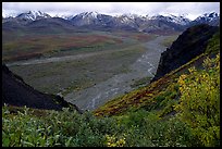 Tundra, wide valley with rivers, Alaska Range in the evening from Polychrome Pass. Denali National Park, Alaska, USA. (color)