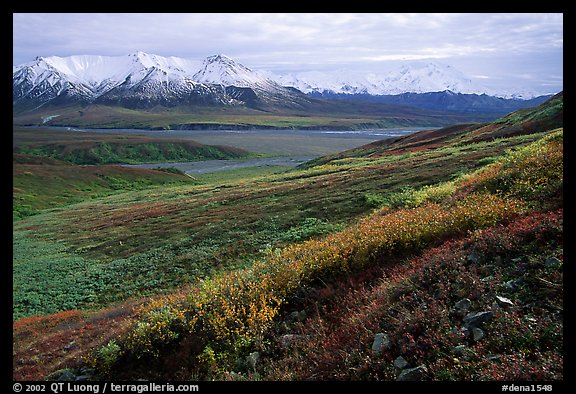 Tundra, Alaska Range, and Denali near Eielson. Denali National Park, Alaska, USA.