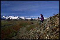 Photographer at Polychrome Pass. Denali National Park, Alaska, USA.