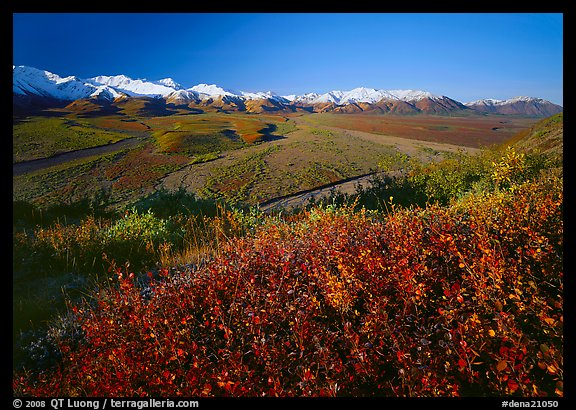 Wide valley and gravel bars from Polychrome Pass, morning. Denali  National Park (color)