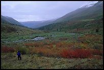 Backpacker in Arrigetch Valley. Gates of the Arctic National Park, Alaska ( color)