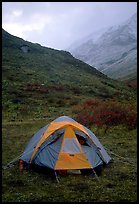 Camping in Arrigetch Valley. Gates of the Arctic National Park, Alaska (color)