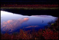 Alatna River reflections, sunset. Gates of the Arctic National Park, Alaska, USA.