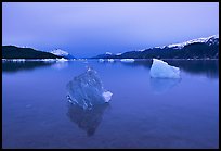Translucent iceberg near Mc Bride glacier, Muir inlet. Glacier Bay National Park, Alaska, USA. (color)