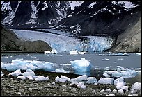 Mc Bride glacier, Muir inlet. Glacier Bay National Park, Alaska, USA.