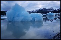 Iceberg, Mc Bride inlet. Glacier Bay National Park, Alaska, USA. (color)
