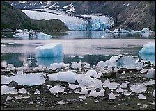 Icebergs, McBride Inlet, and McBride Glacier. Glacier Bay National Park, Alaska, USA.