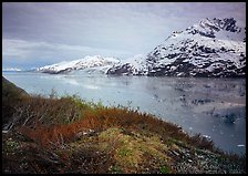 Snowy mountains and icy fjord seen from high point, West Arm. Glacier Bay National Park, Alaska, USA. (color)