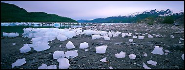 Landscape with beached icebergs. Glacier Bay National Park, Alaska, USA.