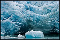 Iceberg and blue ice cave at the base of Reid Glacier. Glacier Bay National Park, Alaska, USA.