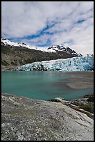 Reid Inlet and Reid Glacier terminus. Glacier Bay National Park, Alaska, USA. (color)