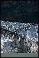 Front of Lamplugh glacier. Glacier Bay National Park ( color)
