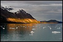 Tarr Inlet and icebergs with the last light of sunset. Glacier Bay National Park, Alaska, USA.